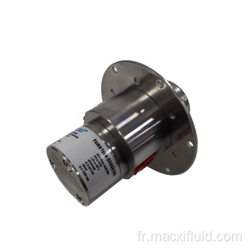 L&#39;anticorrosion a Tel Loy Micro Gear Pump